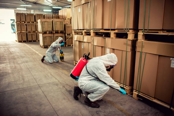 Best Affordable Pest Control Services  in Buena Vista, GA