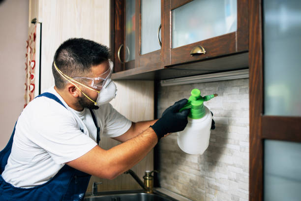 Best Pest Removal Services  in Buena Vista, GA