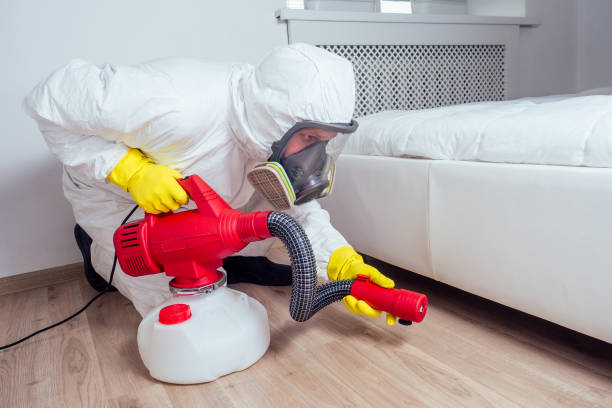 Best Pest Control Near Me  in Buena Vista, GA