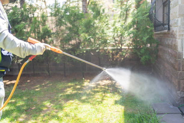 Best Pest Control Near Me in Buena Vista, GA