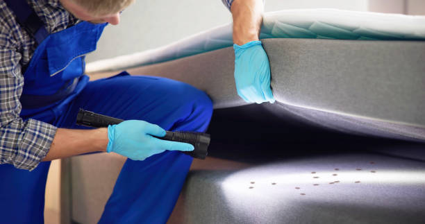 Best Pest Prevention Services  in Buena Vista, GA