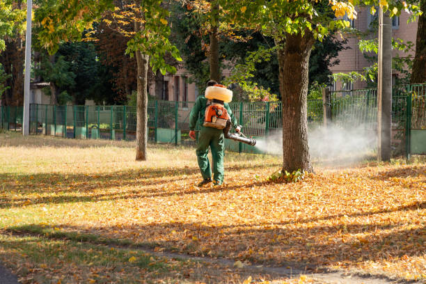 Pest Control for Restaurants in Buena Vista, GA
