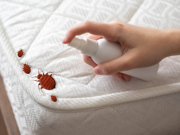Best Commercial Pest Control Services  in Buena Vista, GA