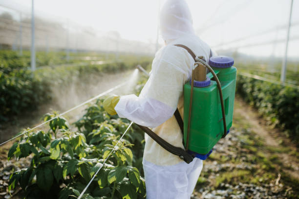 Best Bed Bug Extermination  in Buena Vista, GA